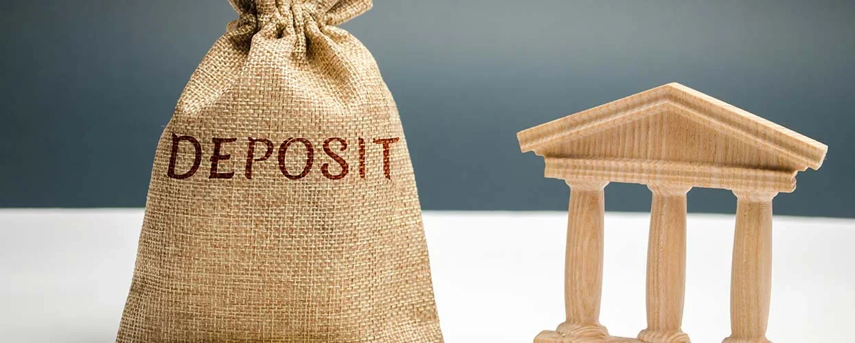 a deposit bag
